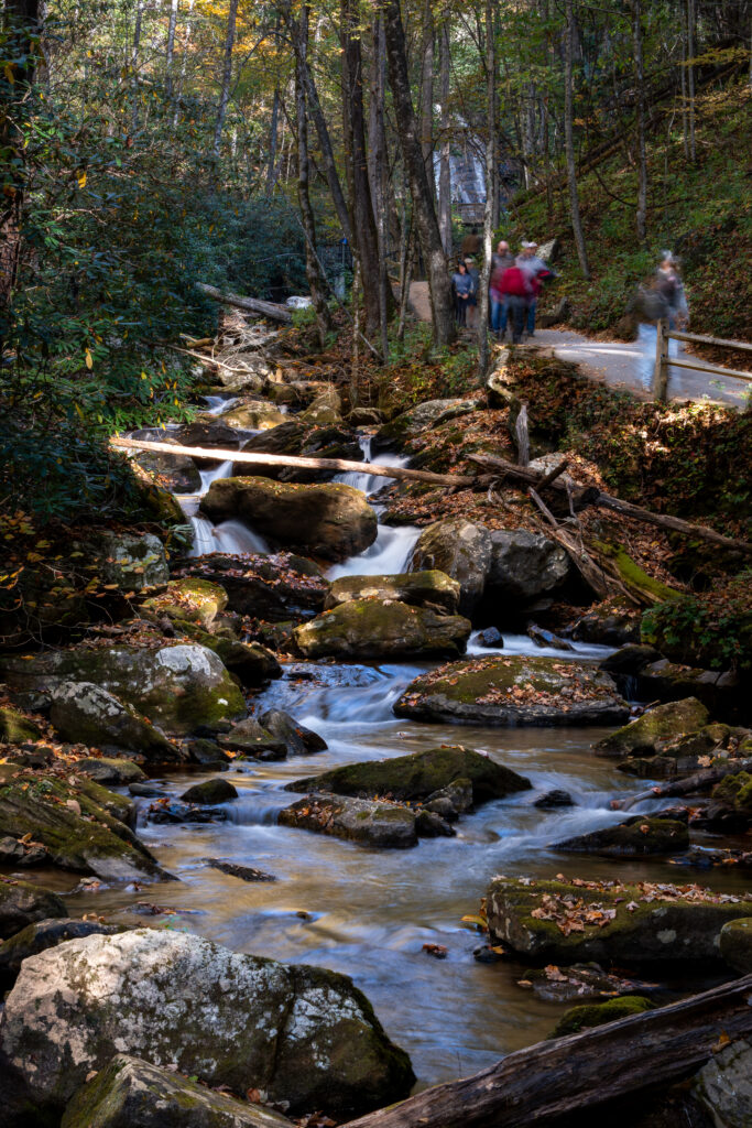 Rocky creek flowing beside the Anna Ruby Falls walking trail in autumn forest