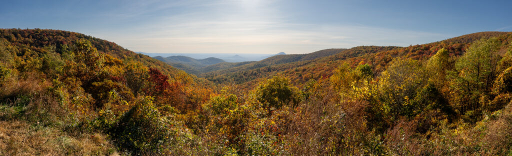 Panoramic view of North Carolina mountains covered in vibrant fall foliage