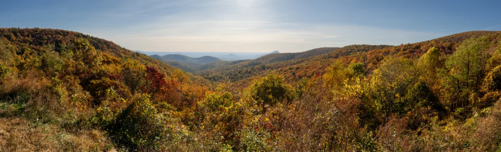 Panoramic view of North Carolina mountains covered in vibrant fall foliage