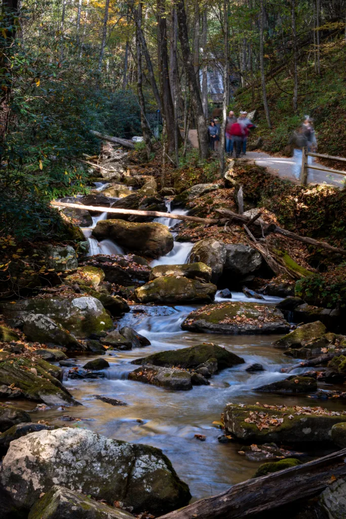 Rocky creek flowing beside the Anna Ruby Falls walking trail in autumn forest