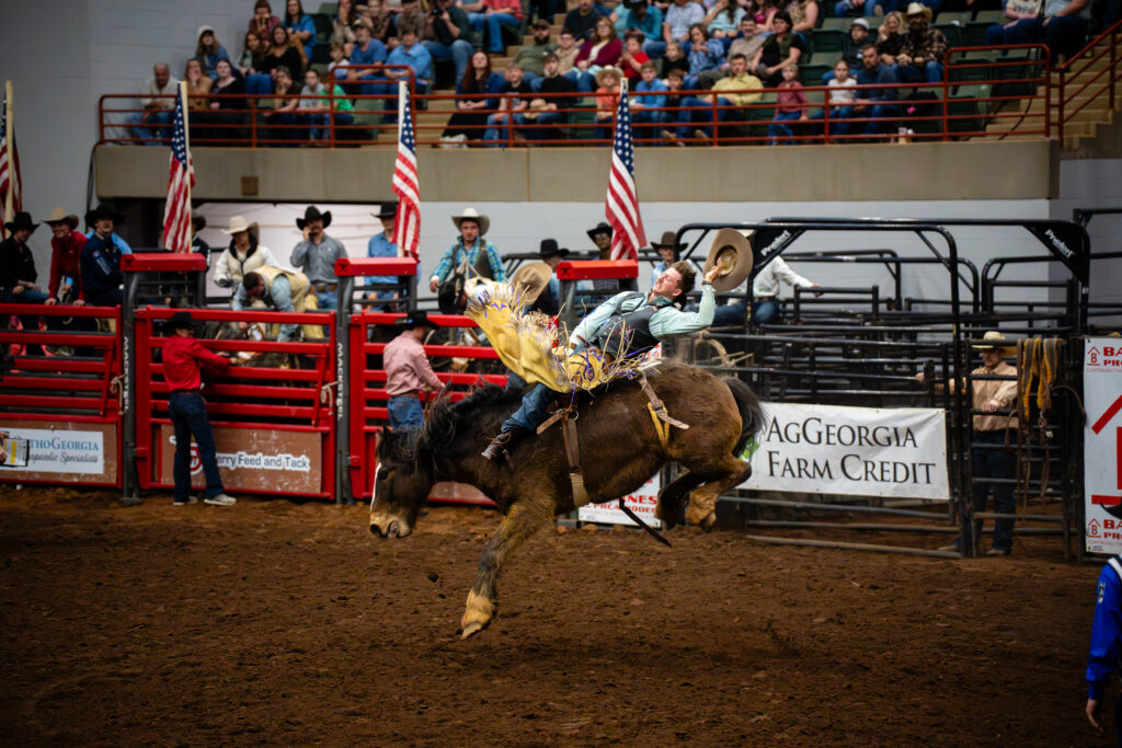 Cowboy rides bucking horse in bareback bronc event at rodeo