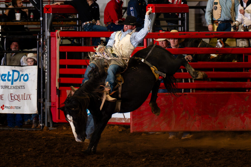Cowboy riding a bucking horse in a bareback bronc rodeo event