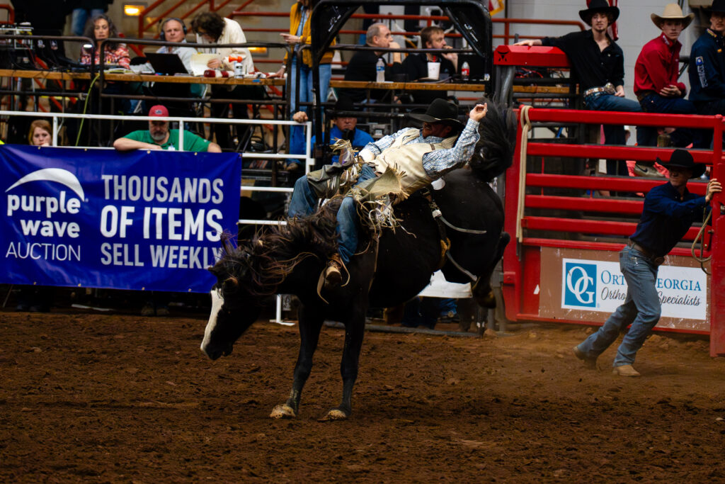 Cowboy rides bucking horse during bareback bronc event at rodeo