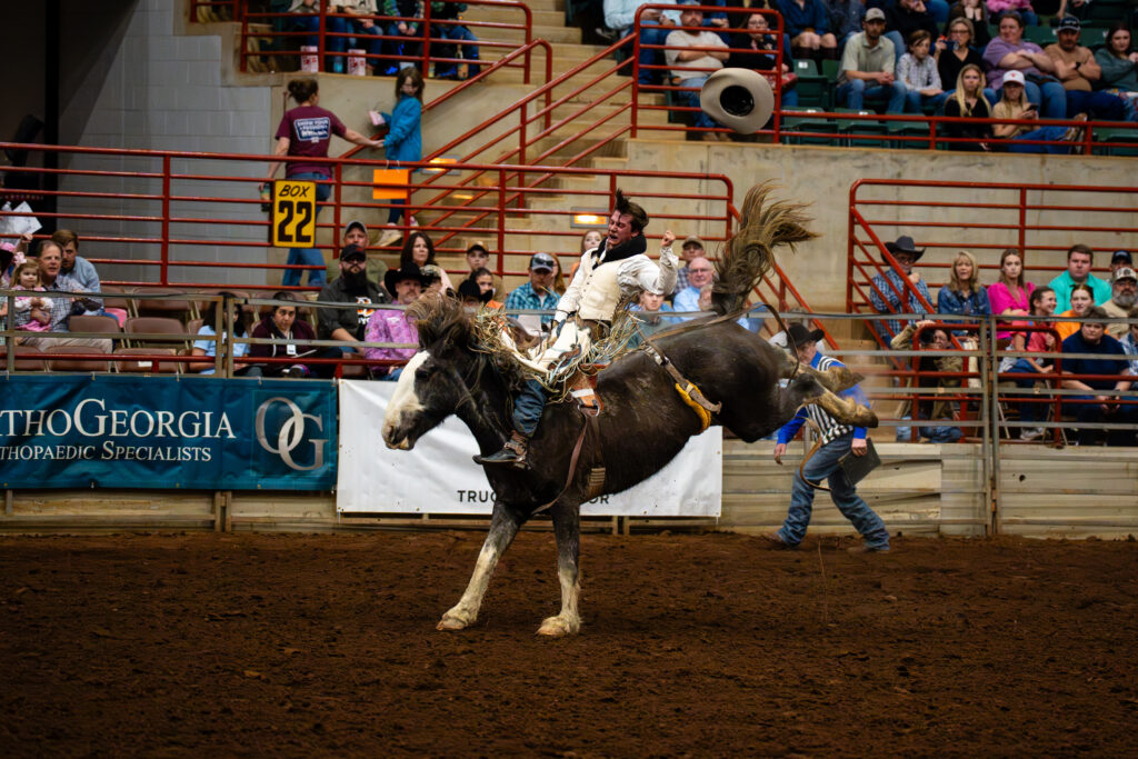 Cowboy riding a bucking horse during bareback bronc event at rodeo