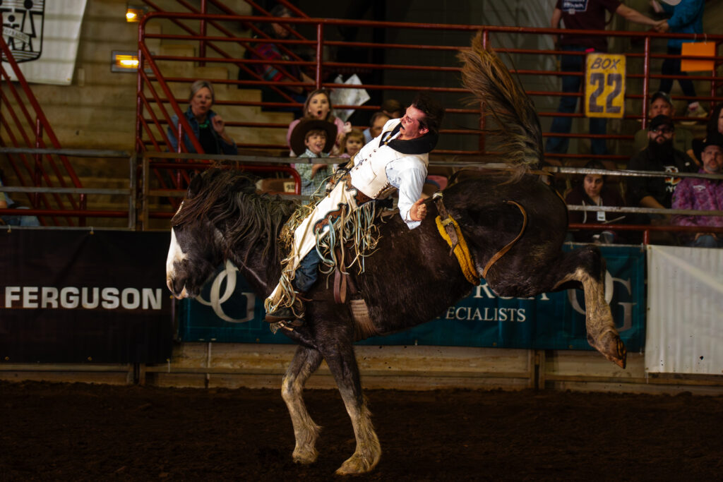 Bareback rider holding on to bucking bronco in indoor rodeo arena