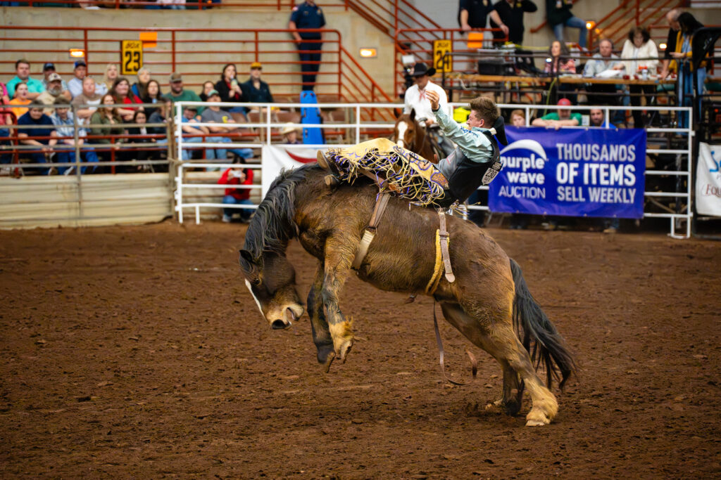 Cowboy riding a bucking bronc horse during bareback rodeo event