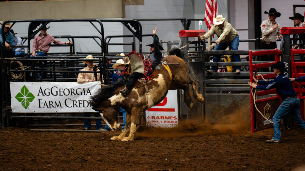 Cowboy riding a bucking horse in a bareback bronc rodeo event