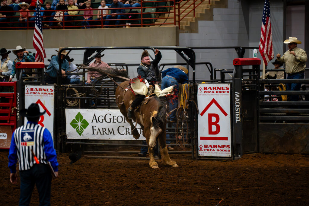 Cowboy rides bucking bronco in bareback event at indoor rodeo