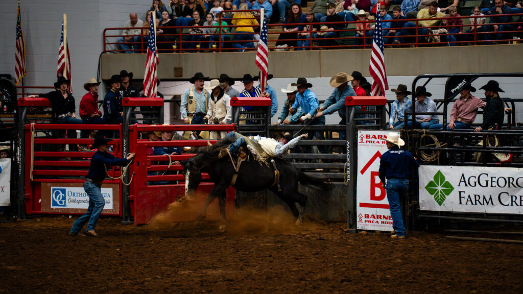 Cowboy rides bucking bronco in bareback event at indoor rodeo