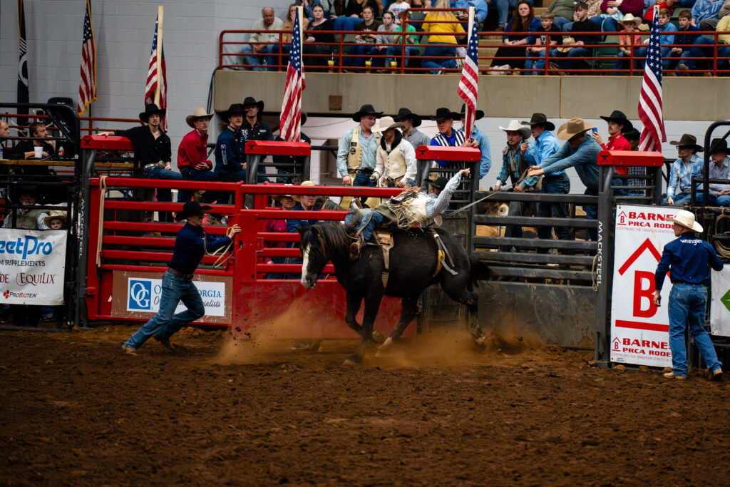 Cowboy rides bucking horse in bareback bronc event at rodeo