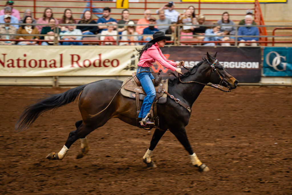 Cowgirl in pink shirt racing a dark horse in an indoor rodeo arena