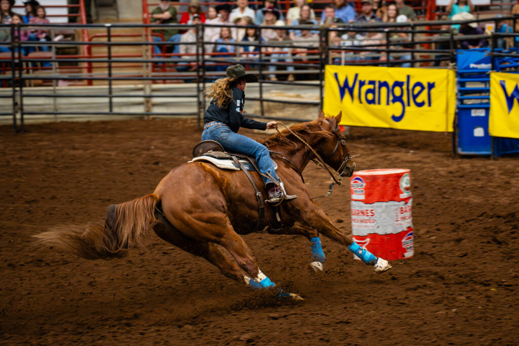 Cowgirl on galloping horse rounding a barrel in a rodeo arena