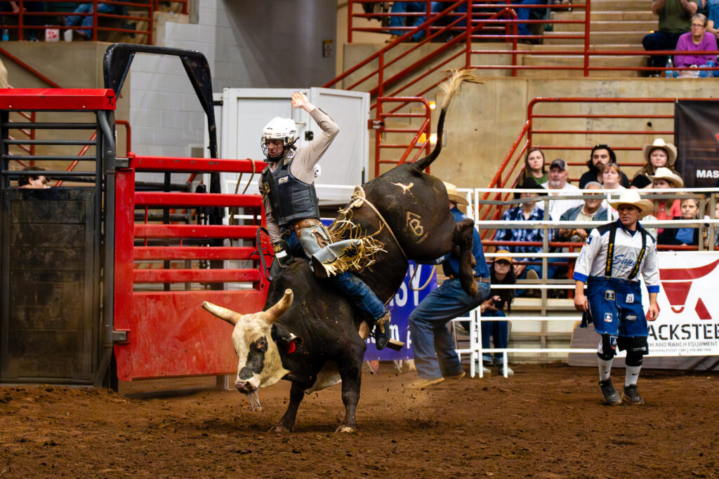Bull rider in protective gear tries to stay mounted on a bucking bull in an indoor rodeo arena