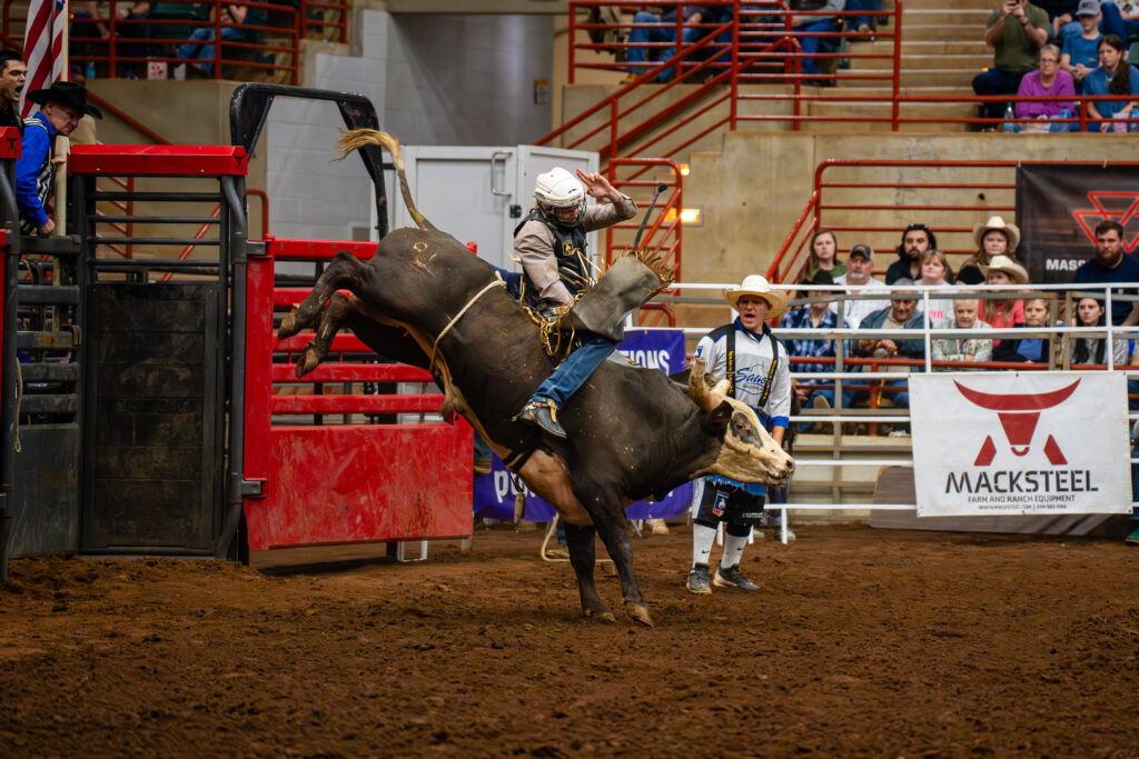 Bull rider struggles to stay on a bucking bull in an indoor rodeo arena