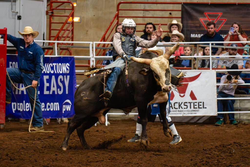 Bull rider in protective gear tries to stay mounted during indoor rodeo