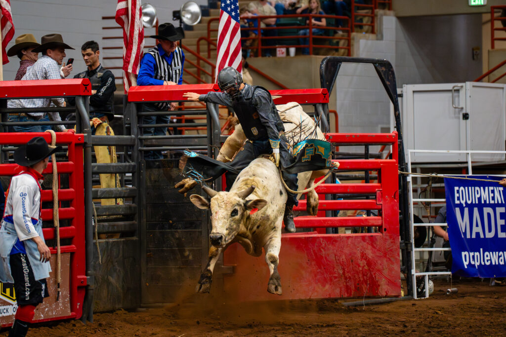 Bull rider in helmet and vest bursts from red chute at indoor rodeo arena