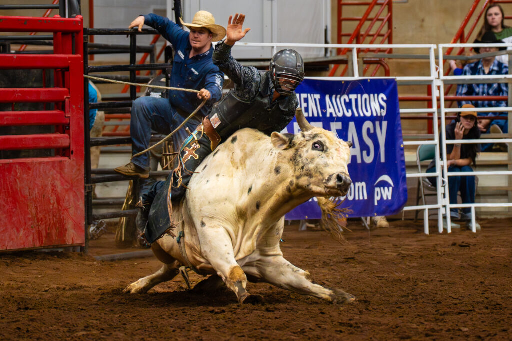 Bull rider in protective gear holding on to a bucking bull in an arena