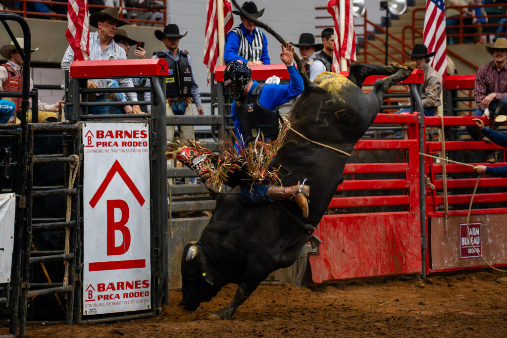 Bull rider in blue shirt holding on as bucking bull leaps in rodeo arena