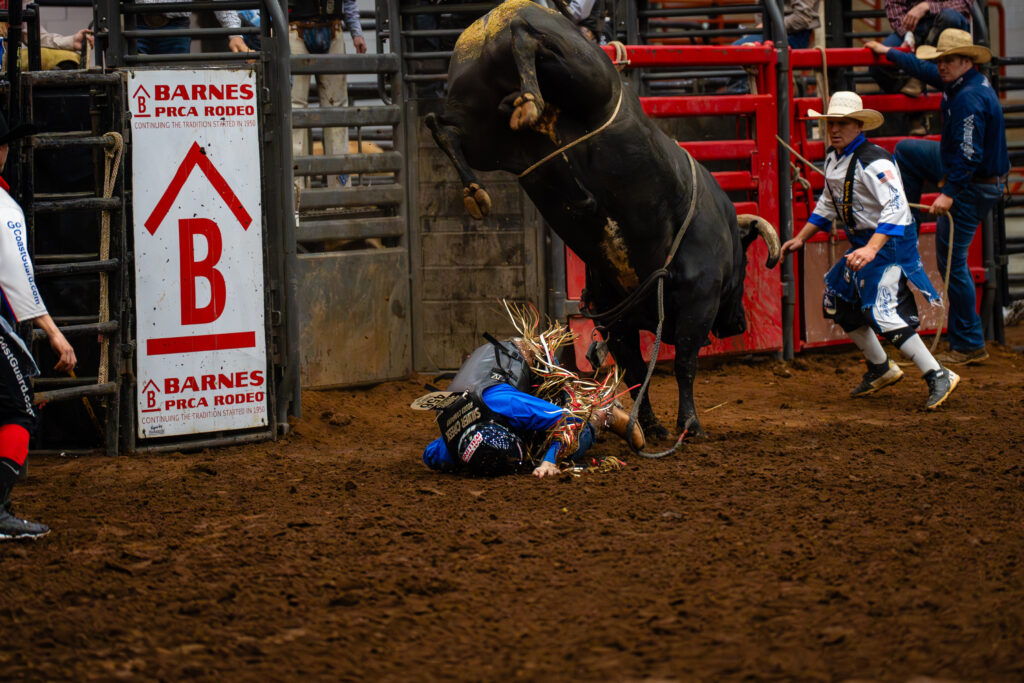 Bull rider thrown to the dirt as bucking bull rears in rodeo arena