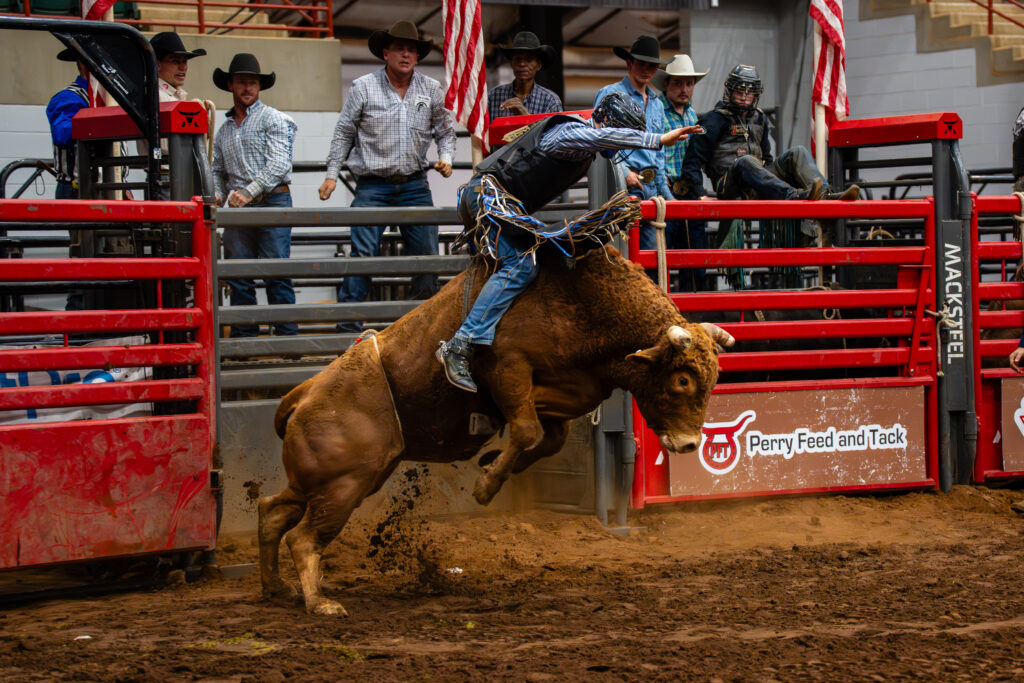 Cowboy riding a bucking bull in a rodeo arena with spectators