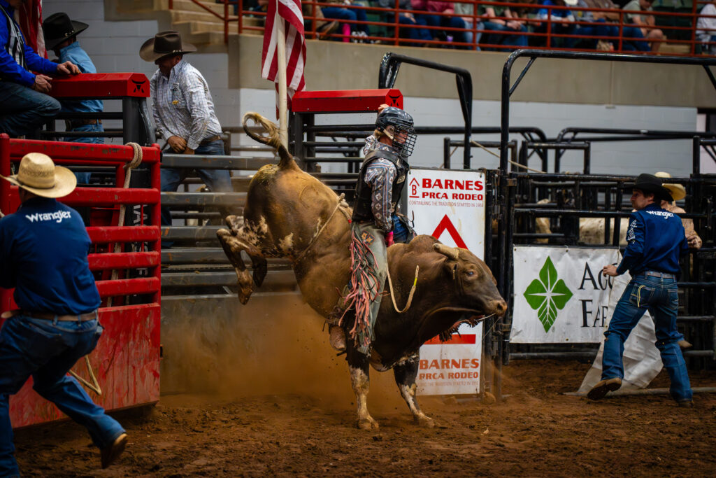 Bull rider in protective gear holding on as bucking bull kicks up dirt