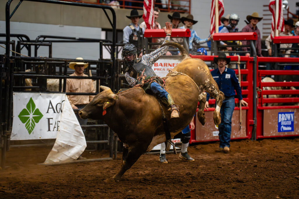 Bull rider tries to stay on a bucking bull in a rodeo arena