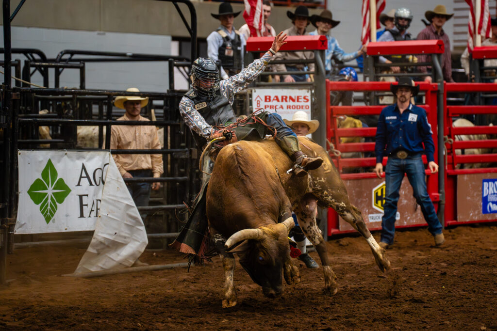 Bull rider in helmet and vest balancing on bucking bull in rodeo arena