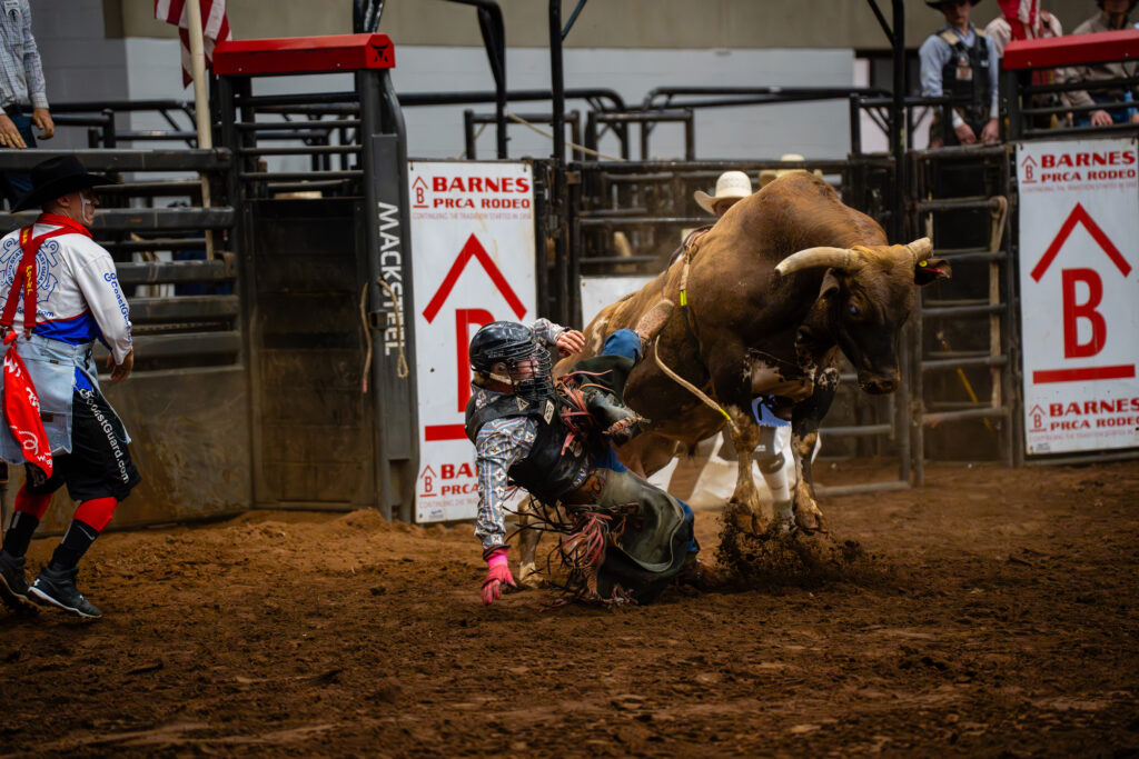 Bull rider falls in dirt arena as bucking bull charges at rodeo