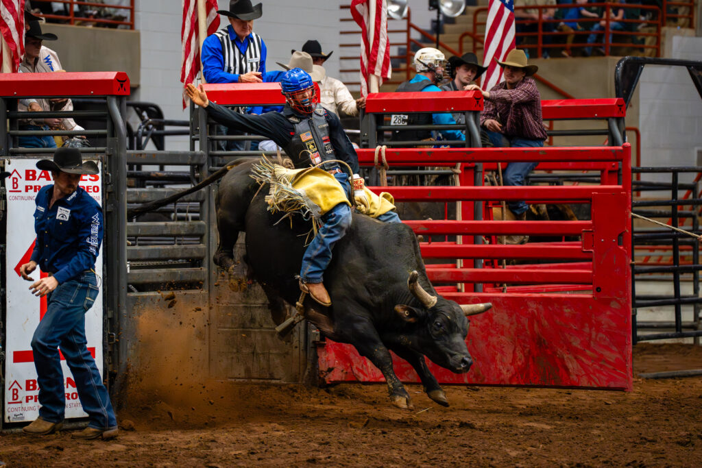 Bull rider holding on as bull charges out of red rodeo chute