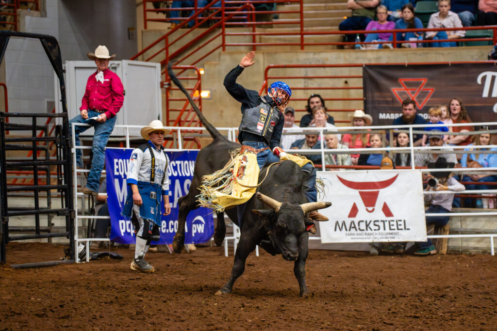 Bull rider holding on as bull bucks in an indoor rodeo arena