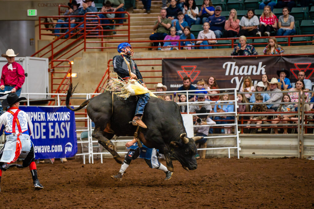 Bull rider holding on as bull bucks in front of rodeo crowd