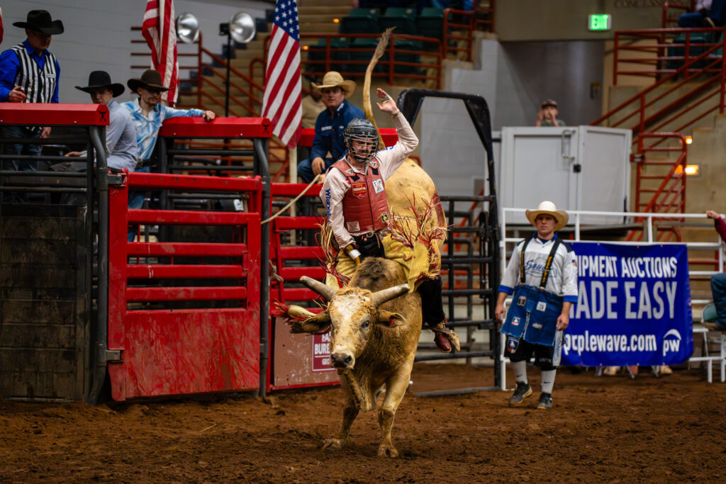 Bull rider in protective gear holding on during a rodeo ride