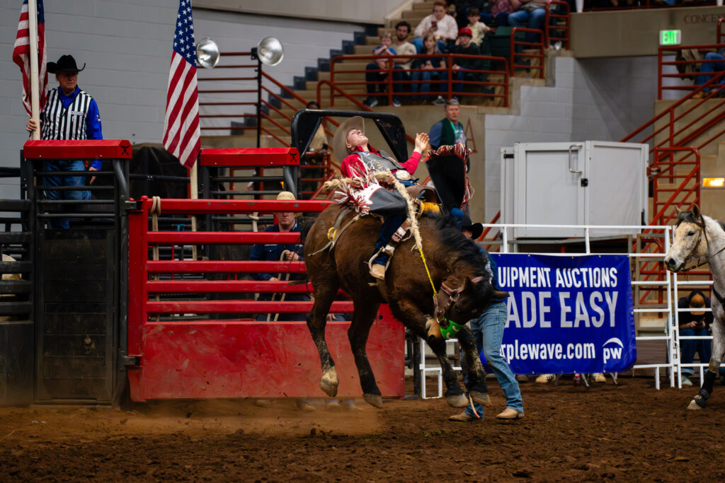 Saddle bronc rider leaving the chute as a cowboy on foot guides the horse in an indoor rodeo arena