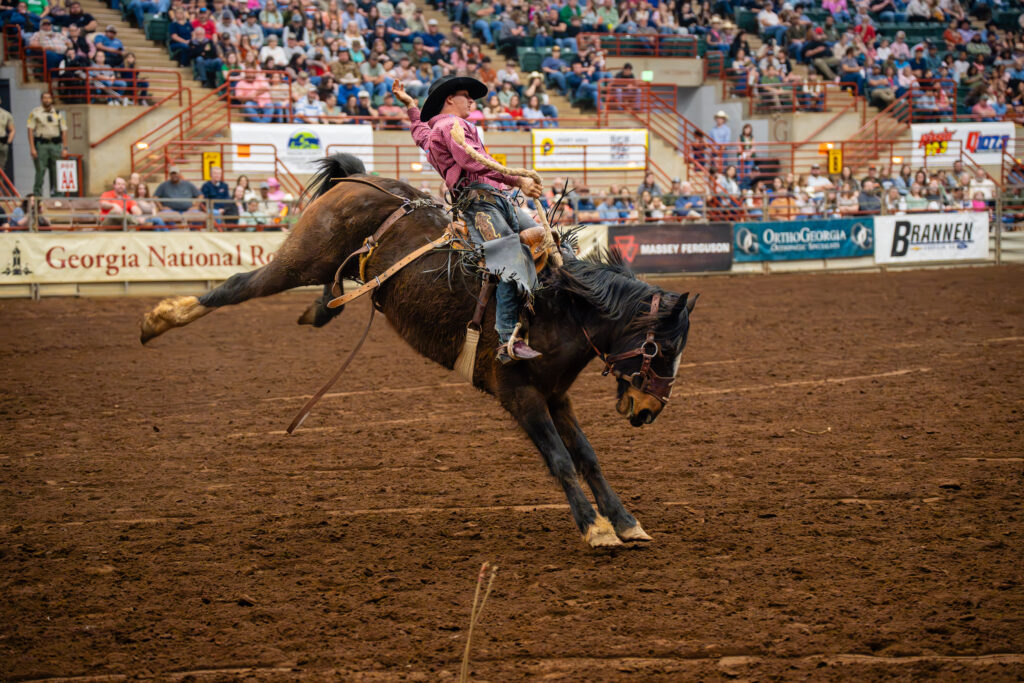 Cowboy riding bucking horse in saddle bronc event at rodeo arena