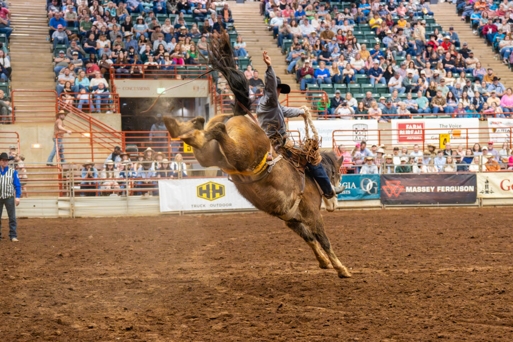 Cowboy riding bucking horse during saddle bronc event at rodeo