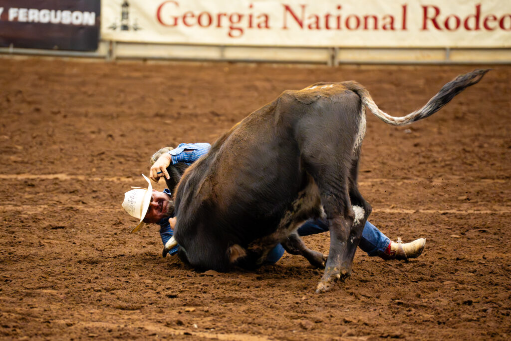 Cowboy wrestling a steer to the ground in a rodeo arena