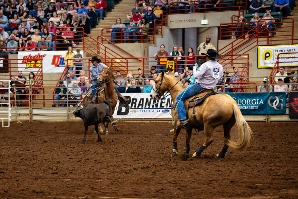 Two cowboys on horseback team roping a steer in a crowded indoor arena