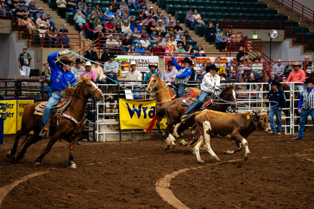 Cowboys on horseback team roping a steer in an indoor rodeo arena