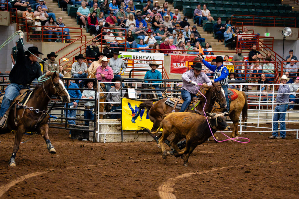 Cowboys on horseback team roping a steer in an indoor rodeo arena