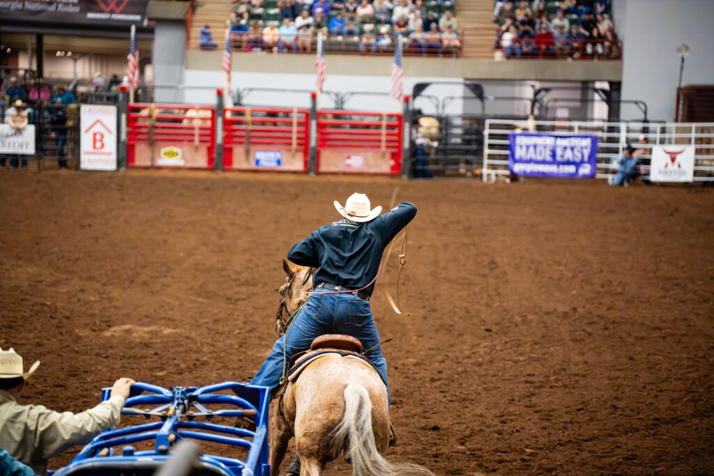Cowboy on horseback preparing to rope calf in indoor rodeo arena